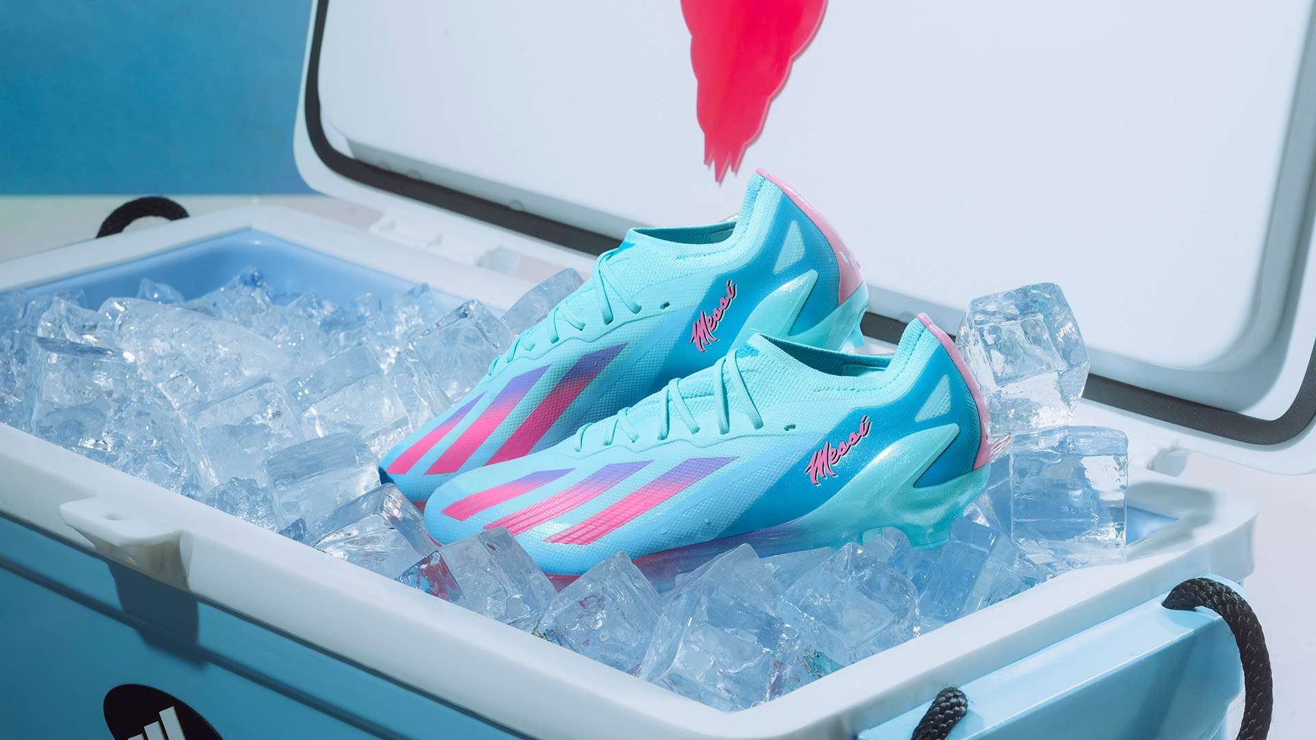 们在本赛季 们在本赛季