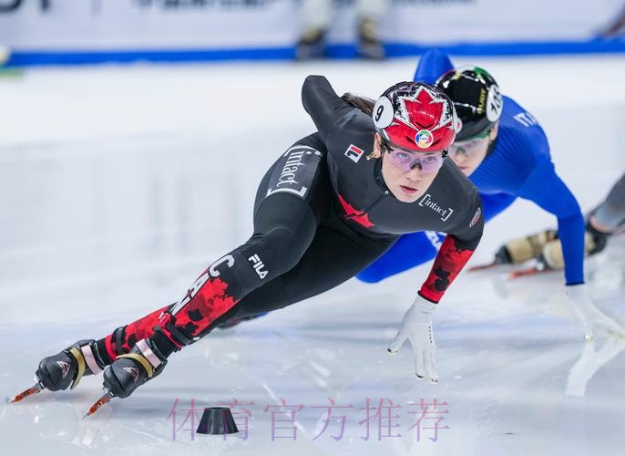 国际滑联单双人滑裁判长及裁判员学习班结束 国际滑联单双人滑裁判长及裁判员学习班结束